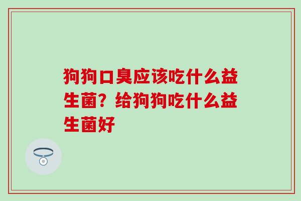 狗狗应该吃什么益生菌？给狗狗吃什么益生菌好