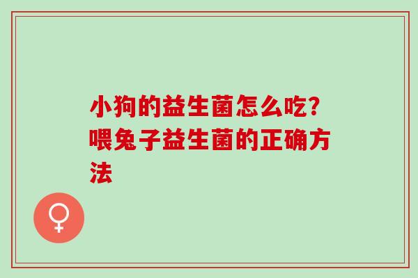 小狗的益生菌怎么吃？喂兔子益生菌的正确方法