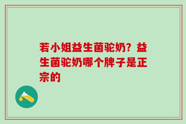 若小姐益生菌驼奶？益生菌驼奶哪个牌子是正宗的