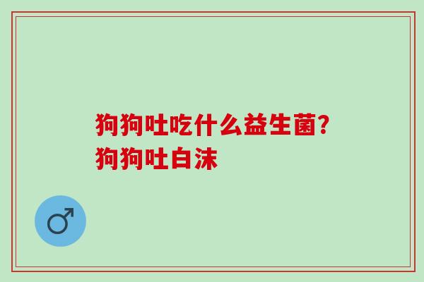狗狗吐吃什么益生菌？狗狗吐白沫