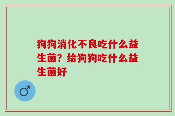 狗狗吃什么益生菌？给狗狗吃什么益生菌好