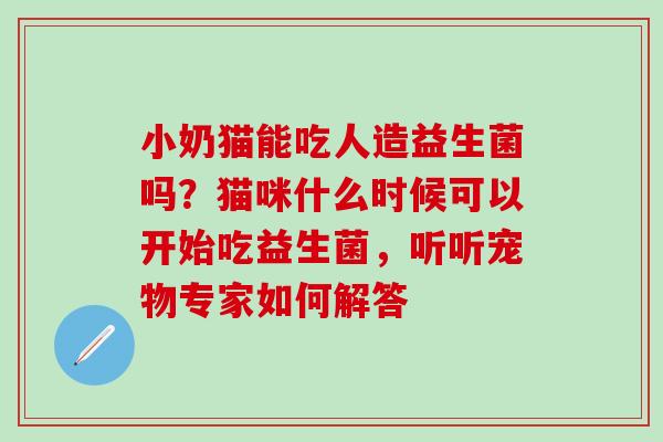 小奶猫能吃人造益生菌吗？猫咪什么时候可以开始吃益生菌，听听宠物专家如何解答