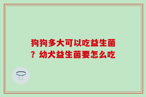 狗狗多大可以吃益生菌？幼犬益生菌要怎么吃
