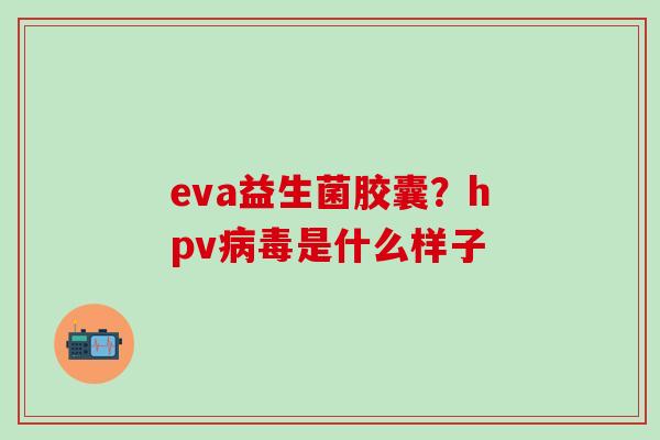 eva益生菌胶囊？hpv是什么样子