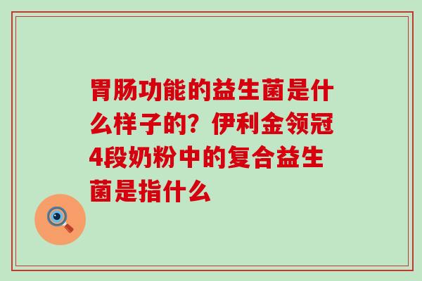 功能的益生菌是什么样子的？伊利金领冠4段奶粉中的复合益生菌是指什么