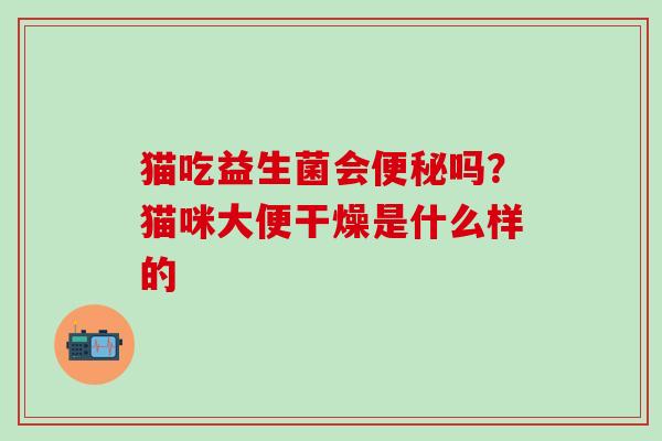 猫吃益生菌会吗？猫咪大便干燥是什么样的
