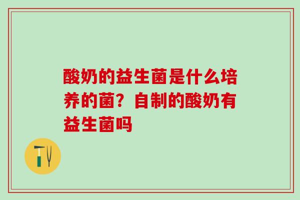 酸奶的益生菌是什么培养的菌？自制的酸奶有益生菌吗