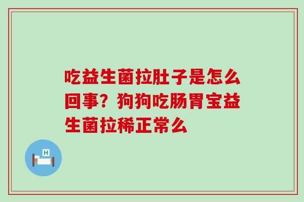 吃益生菌拉肚子是怎么回事？狗狗吃肠胃宝益生菌拉稀正常么