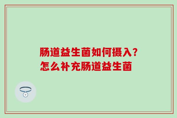 肠道益生菌如何摄入？怎么补充肠道益生菌