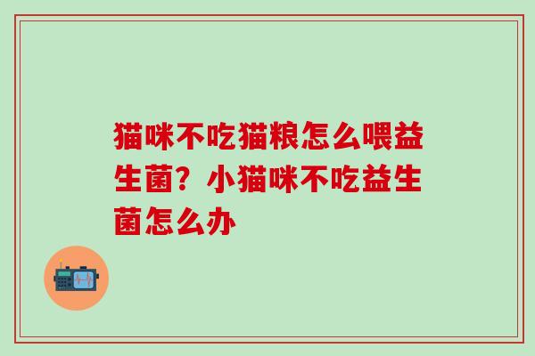 猫咪不吃猫粮怎么喂益生菌？小猫咪不吃益生菌怎么办