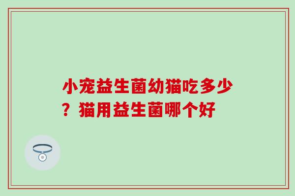 小宠益生菌幼猫吃多少？猫用益生菌哪个好
