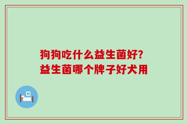 狗狗吃什么益生菌好？益生菌哪个牌子好犬用