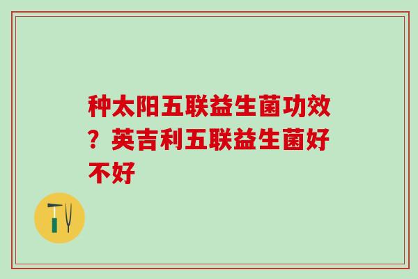 种太阳五联益生菌功效？英吉利五联益生菌好不好