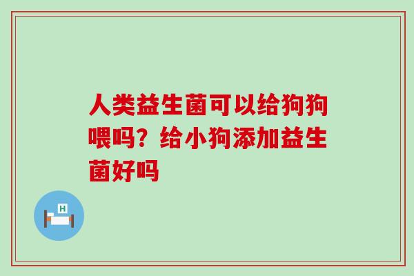 人类益生菌可以给狗狗喂吗？给小狗添加益生菌好吗