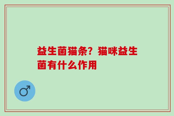 益生菌猫条？猫咪益生菌有什么作用