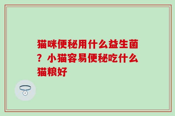 猫咪用什么益生菌？小猫容易吃什么猫粮好