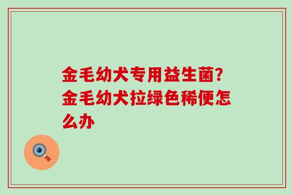 金毛幼犬专用益生菌？金毛幼犬拉绿色稀便怎么办