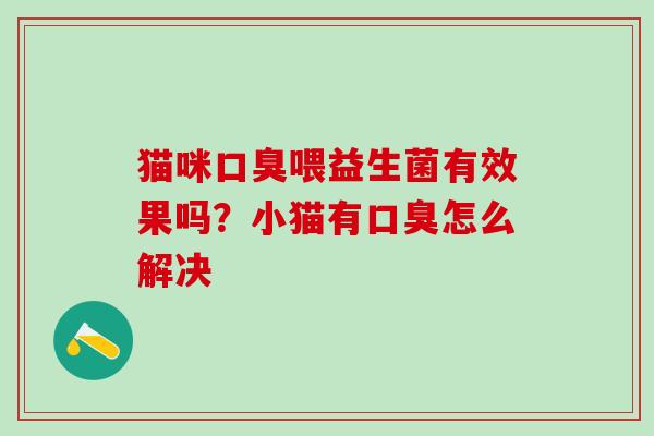 猫咪喂益生菌有效果吗？小猫有怎么解决