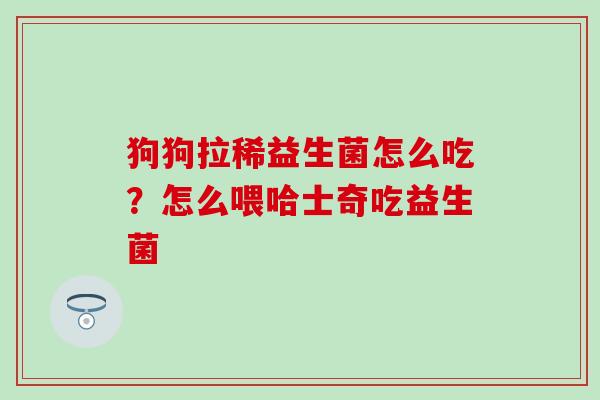 狗狗拉稀益生菌怎么吃？怎么喂哈士奇吃益生菌