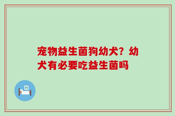 宠物益生菌狗幼犬？幼犬有必要吃益生菌吗