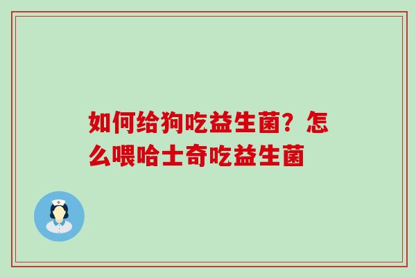 如何给狗吃益生菌？怎么喂哈士奇吃益生菌