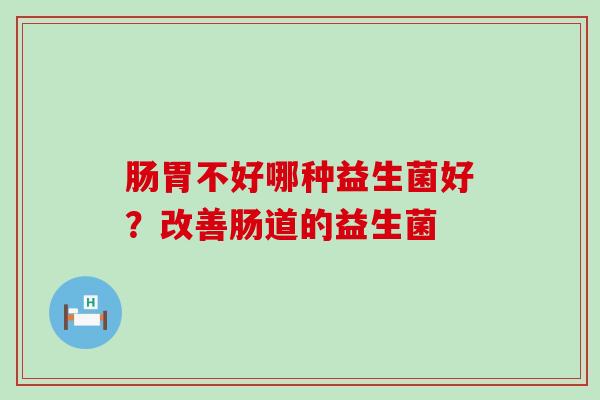 肠胃不好哪种益生菌好？改善肠道的益生菌