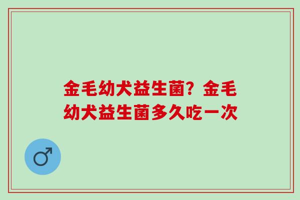 金毛幼犬益生菌？金毛幼犬益生菌多久吃一次