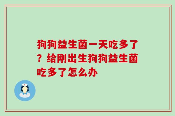 狗狗益生菌一天吃多了？给刚出生狗狗益生菌吃多了怎么办