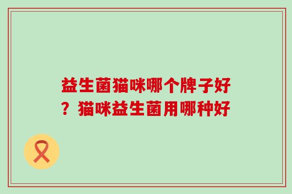 益生菌猫咪哪个牌子好？猫咪益生菌用哪种好