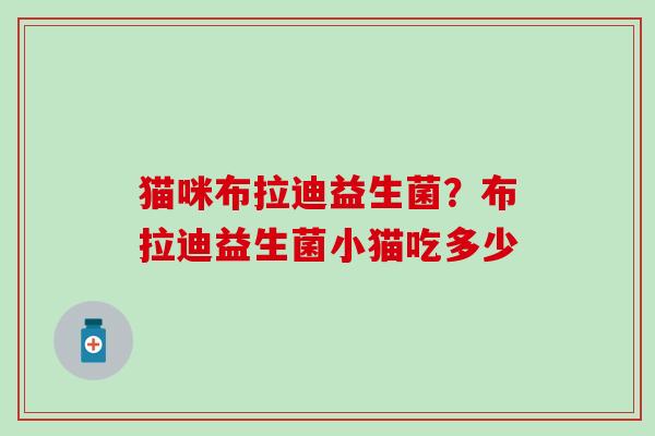 猫咪布拉迪益生菌？布拉迪益生菌小猫吃多少