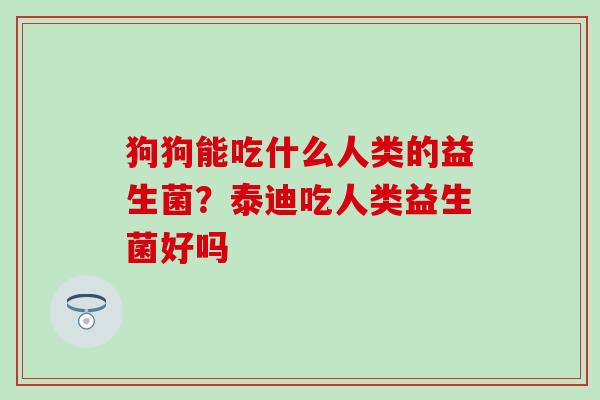 狗狗能吃什么人类的益生菌？泰迪吃人类益生菌好吗