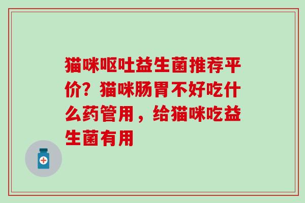 猫咪益生菌推荐平价？猫咪肠胃不好吃什么药管用，给猫咪吃益生菌有用