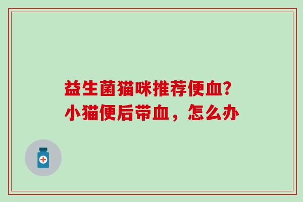 益生菌猫咪推荐便？小猫便后带，怎么办