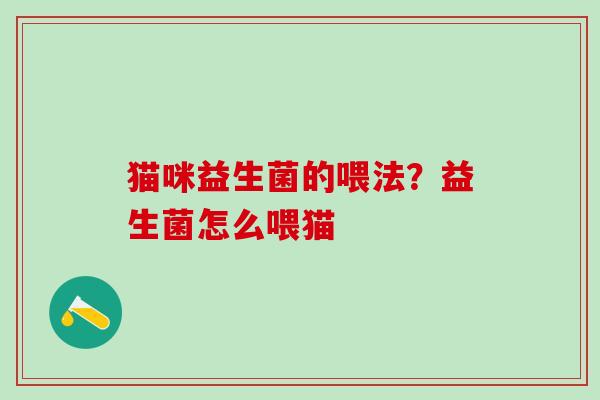 猫咪益生菌的喂法？益生菌怎么喂猫