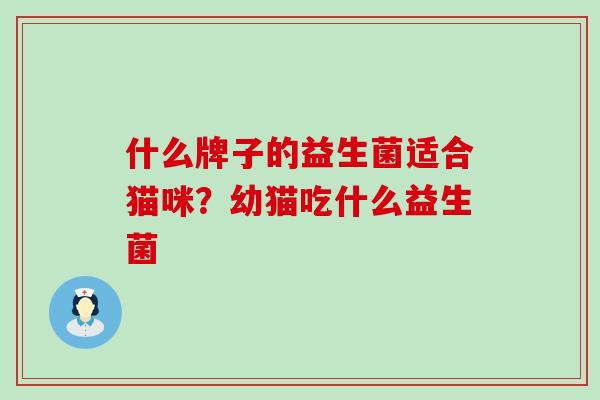 什么牌子的益生菌适合猫咪？幼猫吃什么益生菌