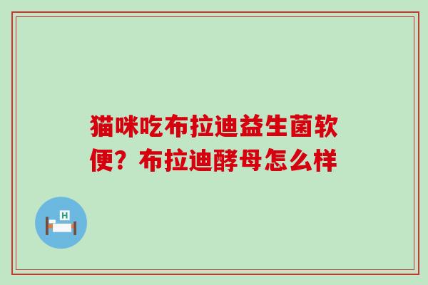 猫咪吃布拉迪益生菌软便？布拉迪酵母怎么样