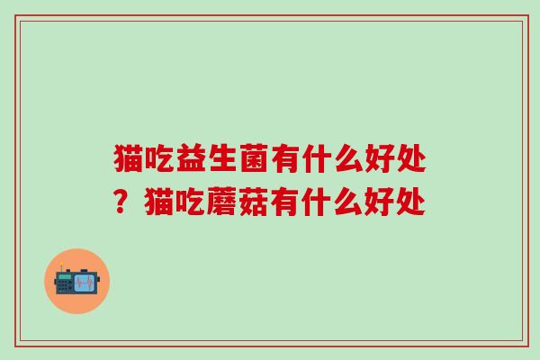 猫吃益生菌有什么好处？猫吃蘑菇有什么好处