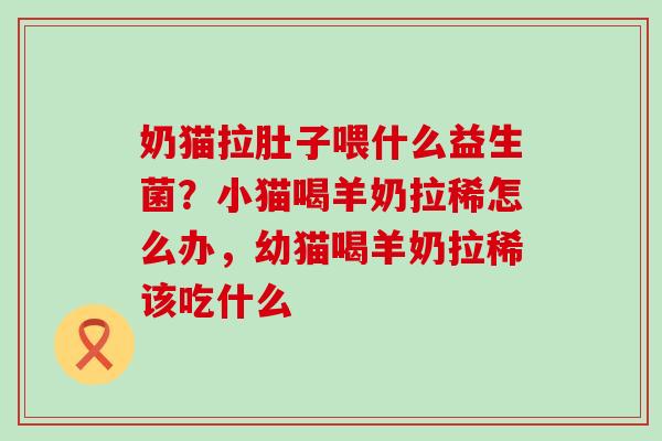 奶猫拉肚子喂什么益生菌？小猫喝羊奶拉稀怎么办，幼猫喝羊奶拉稀该吃什么