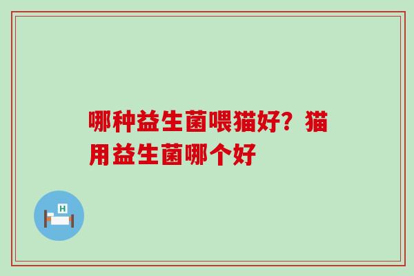 哪种益生菌喂猫好？猫用益生菌哪个好