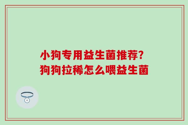小狗专用益生菌推荐？狗狗拉稀怎么喂益生菌