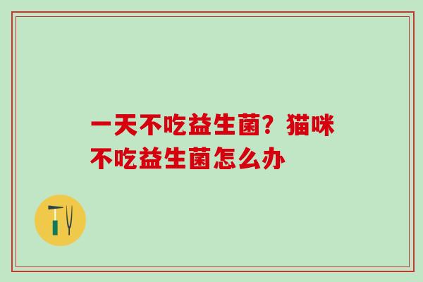 一天不吃益生菌？猫咪不吃益生菌怎么办