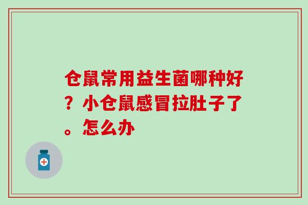 仓鼠常用益生菌哪种好？小仓鼠拉肚子了。怎么办