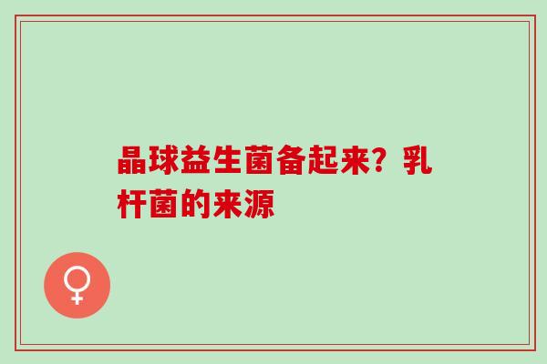 晶球益生菌备起来？乳杆菌的来源