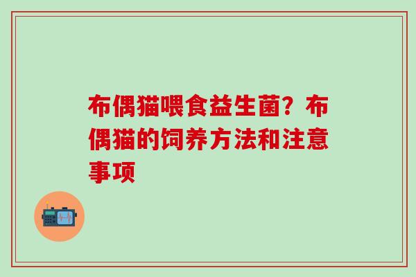 布偶猫喂食益生菌？布偶猫的饲养方法和注意事项