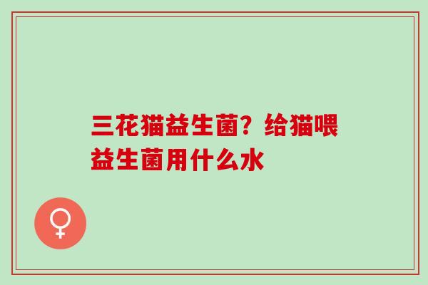 三花猫益生菌？给猫喂益生菌用什么水