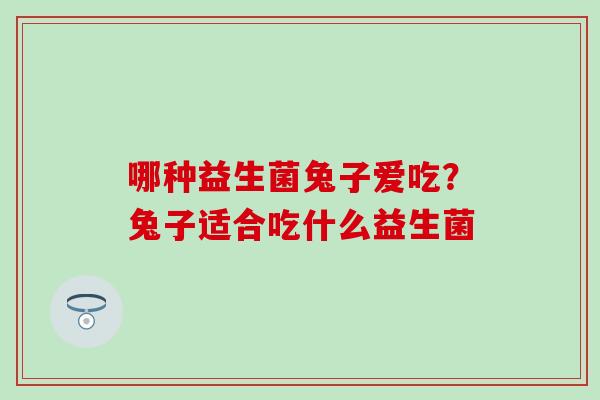 哪种益生菌兔子爱吃？兔子适合吃什么益生菌