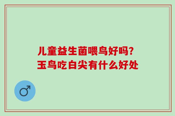 儿童益生菌喂鸟好吗？玉鸟吃白尖有什么好处