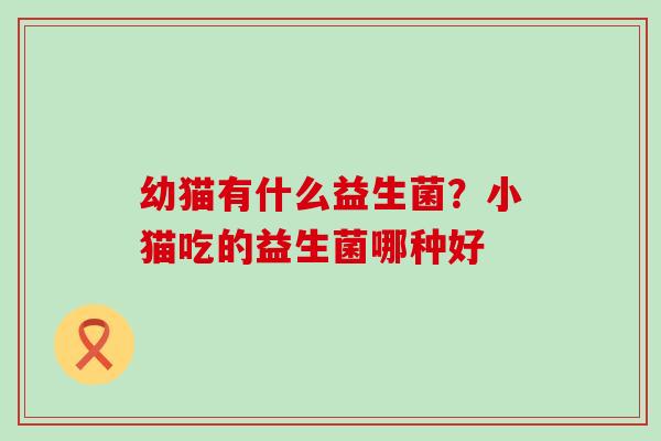 幼猫有什么益生菌？小猫吃的益生菌哪种好