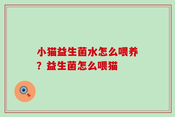 小猫益生菌水怎么喂养？益生菌怎么喂猫