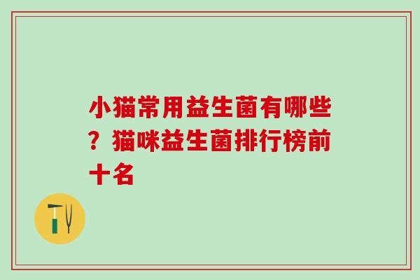 小猫常用益生菌有哪些？猫咪益生菌排行榜前十名